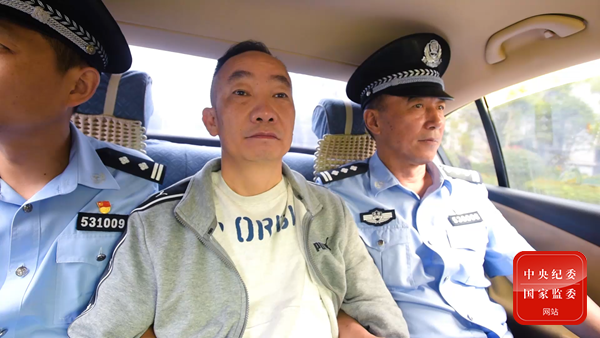 中纪委:“天网行动”开展以来,追回外逃人员