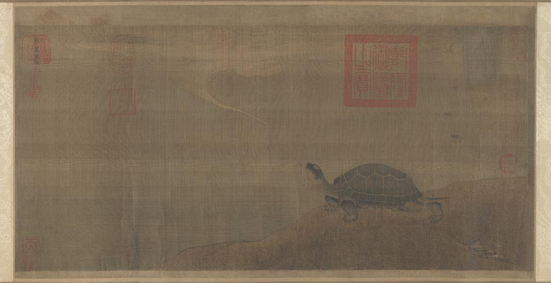 神龟虽寿犹有尽时的尽指的是 3a4d-ixreehn6097597.jpg