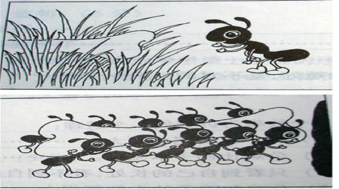 小蚂蚁搬骨头