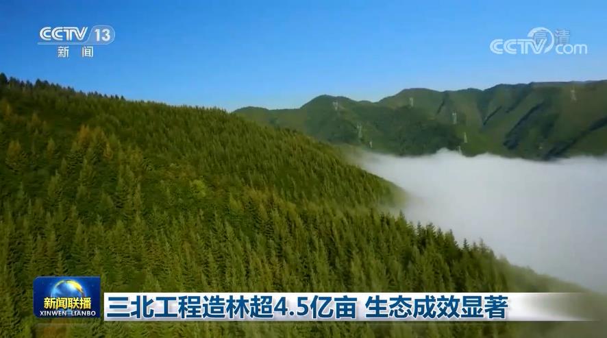 三北工程造林超4.5亿亩 生态成效显著