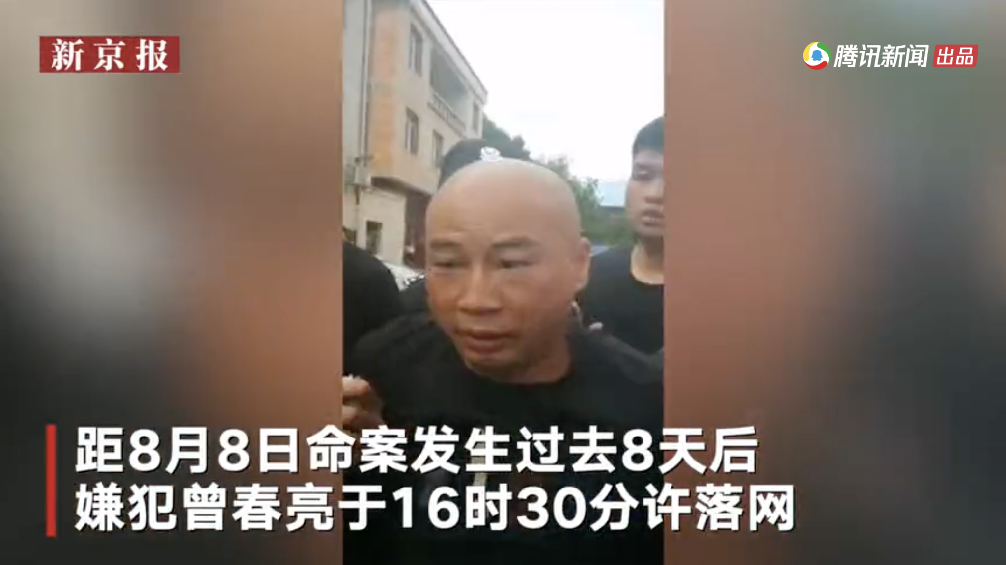 抓捕现场。视频截图