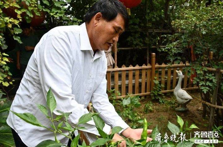 朱之文在最喜欢的小菜园里看他种的辣椒。