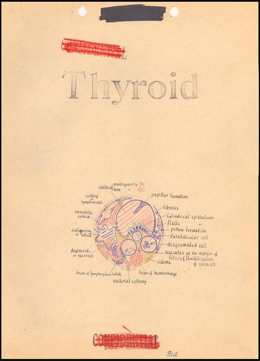揭秘:二战后美日魔鬼交易掩盖731部队生物战罪行休闲区蓝鸢梦想 - Www.slyday.coM 揭秘:二战后美日魔鬼交易掩盖731部队生物战罪行休闲区蓝鸢梦想 - Www.slyday.coM