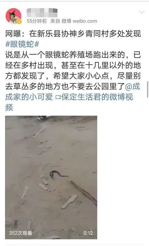 吓人!800条眼镜蛇全部出逃?回应来了!