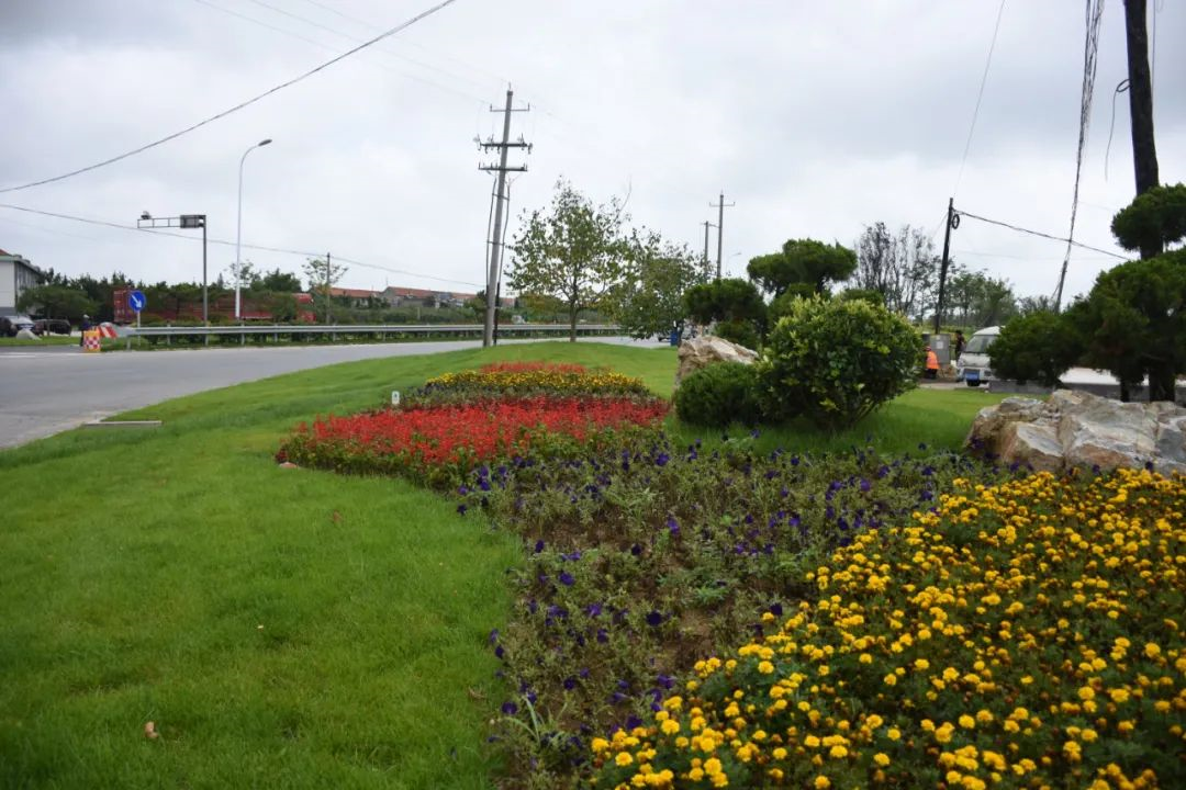 道路绿化扮靓城市颜值|景观|世纪大道|道路_新浪新闻