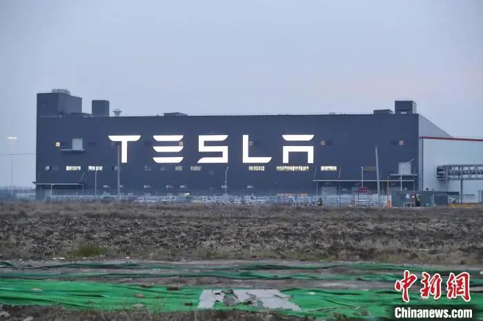 车主成功提车,为何拼多多与特斯拉都宣布“赢了”?