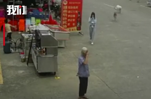 新京报:老人被狗绳绊倒身亡 刑责或免民责难逃