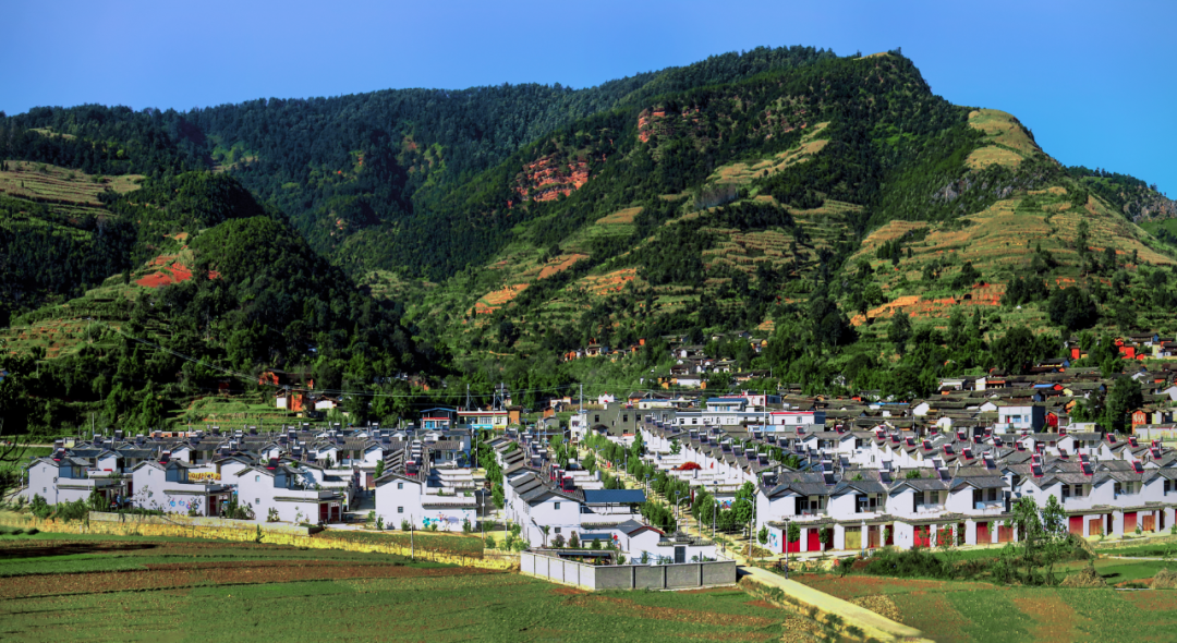 山东过百万人口大县市_山东人口分布图(3)