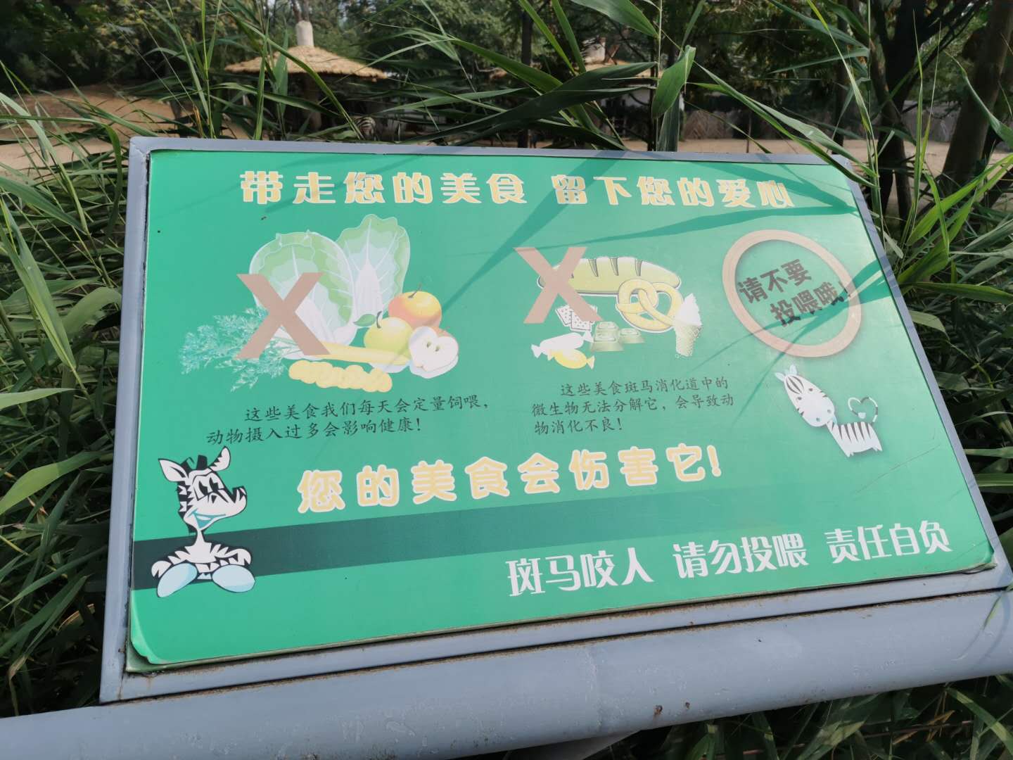 北京动物园斑马场馆边的警示牌。新京报记者 摄