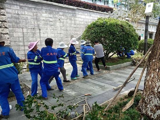 还记得被洪水淹没的白沙亭吗?现在正在恢复中,建德市的公园和绿地又焕然一新了