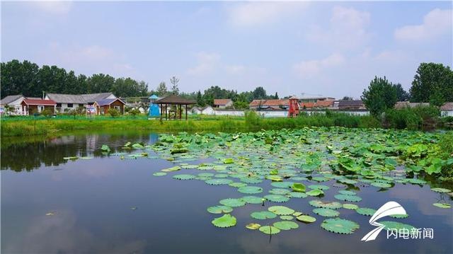临沂临沭郑山街道文旅产业融合发展 产业引擎助推乡村振兴