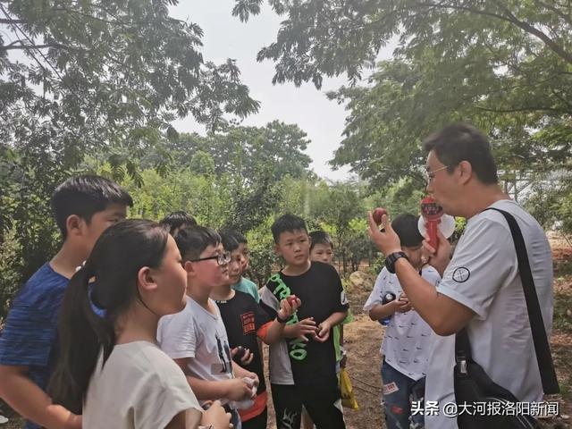 「研学课程」伊河学校走进梦溪姜谷 体验农耕文化