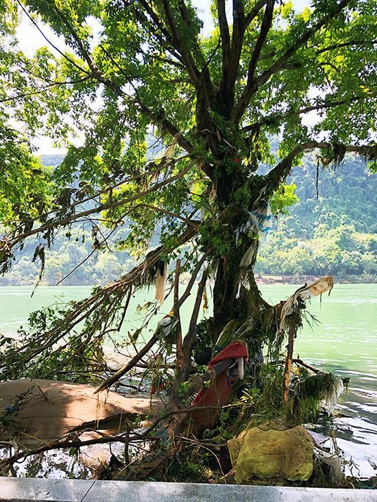 还记得被洪水淹没的白沙亭吗?现在正在恢复中,建德市的公园和绿地又焕然一新了