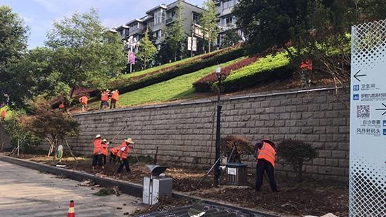 还记得被洪水淹没的白沙亭吗?现在正在恢复中,建德市的公园和绿地又焕然一新了