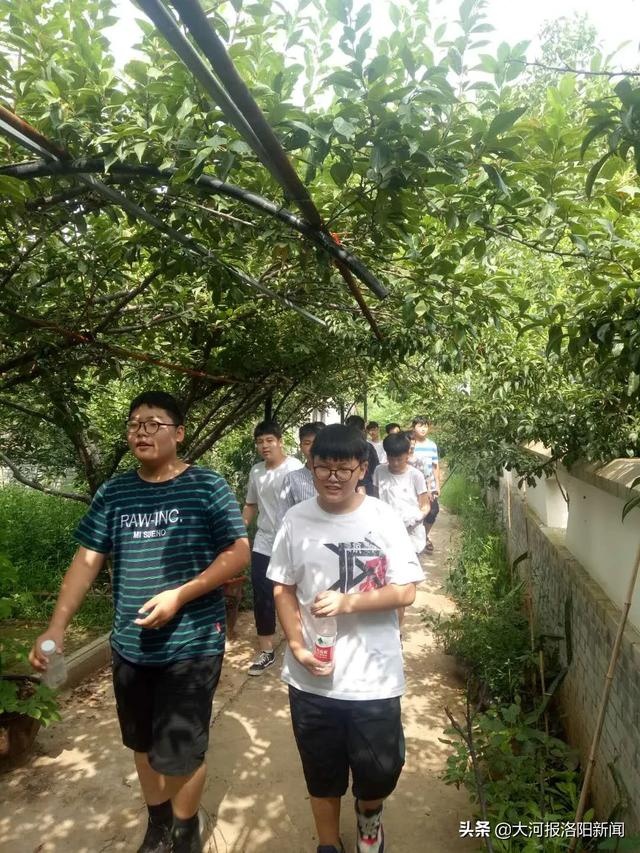 「研学课程」伊河学校走进梦溪姜谷 体验农耕文化