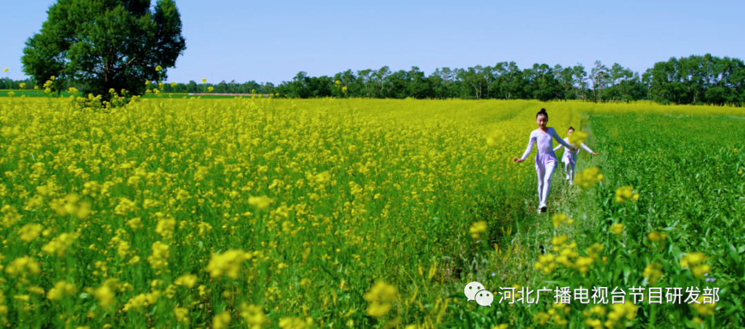 15集系列形象专题片 《凝心聚力奔小康》8月1日重磅推出