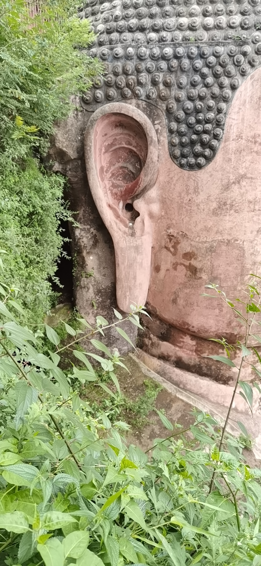洪水“洗脚”仍安然无恙 乐山大佛沿用千年排水系统起多大作用?