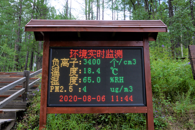 内蒙古根河市乌力库玛林场，供游客住宿的森林木屋。(中国日报网 赵诗悦/摄)