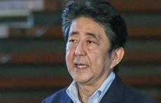 明天,安倍将成日本连续执政时间最长首相!开启"省力"工作模式