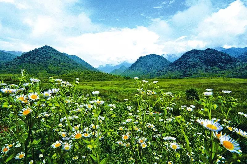 山与城•地名丨重庆这些地名,不仅仅是听起凉快哟