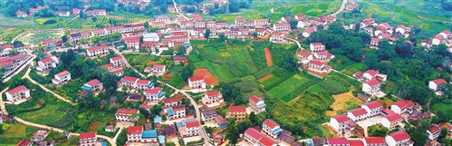 陕西汉中洋县柳山村:扶志又扶智 摘帽不停步