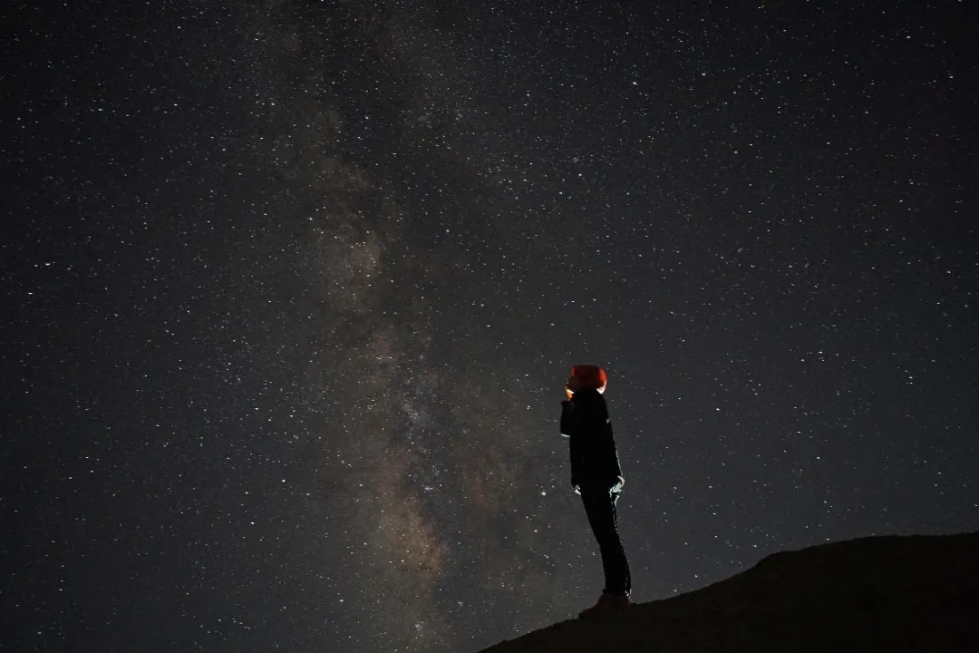 同样是“追星” 这群“后浪”追出了不一样的姿态