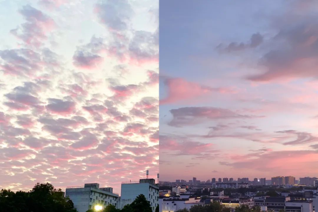 不孤不孤不孤...浙师专属七夕情书,拼出爱你的模样!