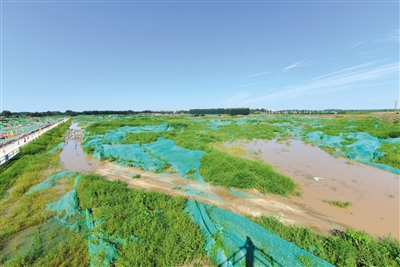 北京大兴机场综保区一期市政道路建设过半