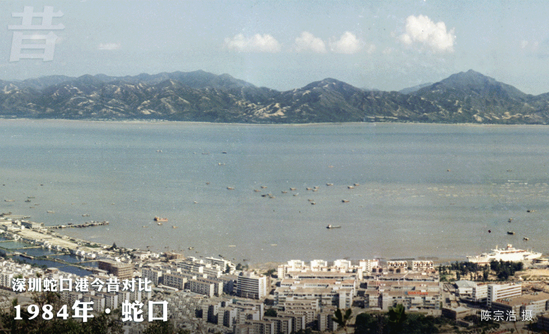 乘风破浪40载!鹏城“圳”当年