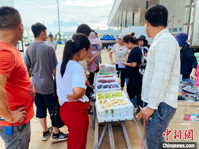 海南最大农产品一级批发市场开业 将起稳定“菜篮子”作用