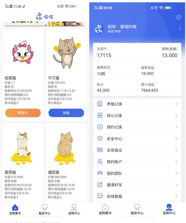 网上“养猫”能赚大钱?6000多人被骗得血本无归