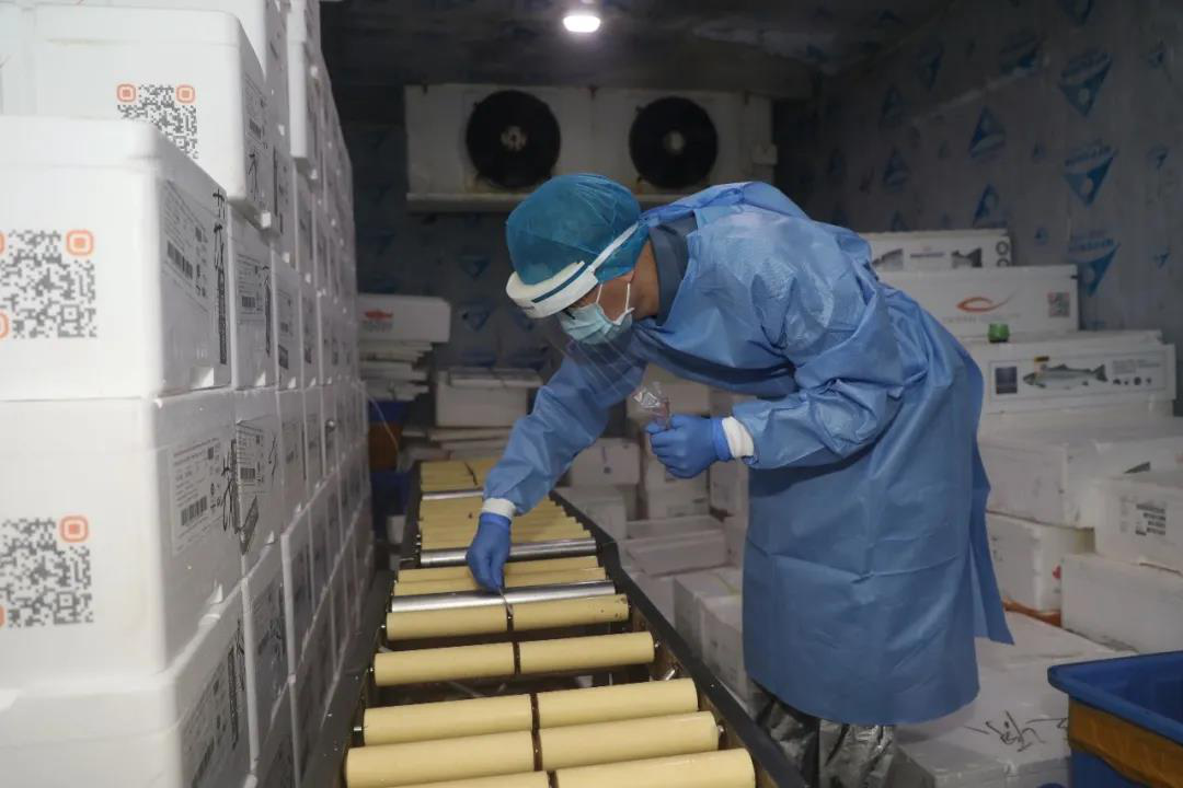 深圳“8·14”疫情大排查结束!社区传播风险基本消除