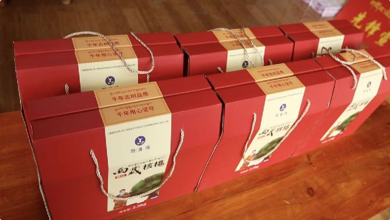 【幸福花开新边疆】小小核桃树 奔上“致富路”