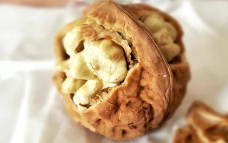 【幸福花开新边疆】小小核桃树 奔上“致富路”