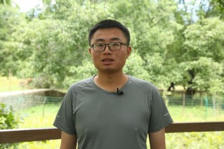 【幸福花开新边疆】小小核桃树 奔上“致富路”