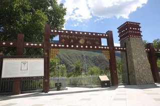 【幸福花开新边疆】小小核桃树 奔上“致富路”