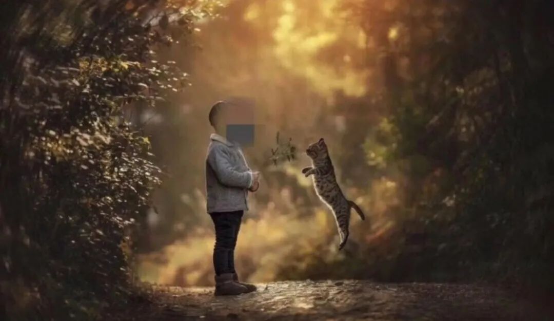 孙俪李佳琦罕见同框背后：这些刷爆朋友圈的照片