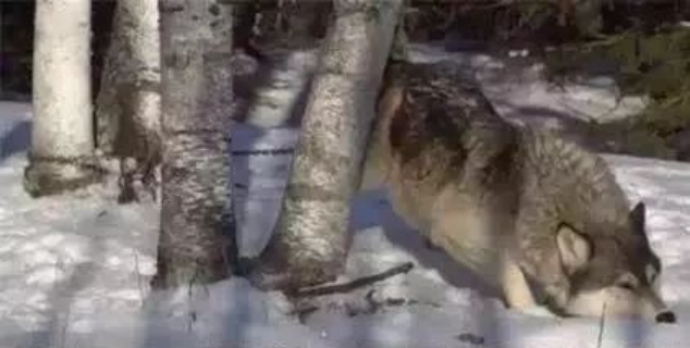 孙俪李佳琦罕见同框背后：这些刷爆朋友圈的照片