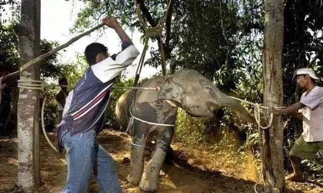 孙俪李佳琦罕见同框背后：这些刷爆朋友圈的照片