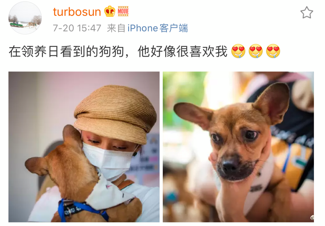 孙俪李佳琦罕见同框背后：这些刷爆朋友圈的照片