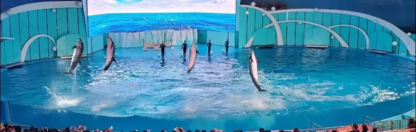 孙俪李佳琦罕见同框背后：这些刷爆朋友圈的照片