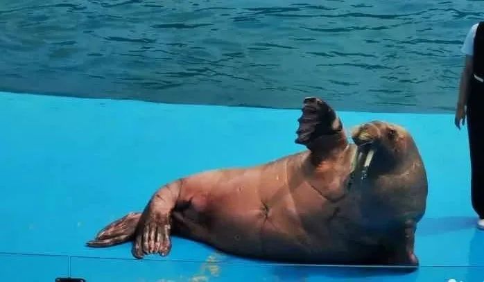 孙俪李佳琦罕见同框背后：这些刷爆朋友圈的照片