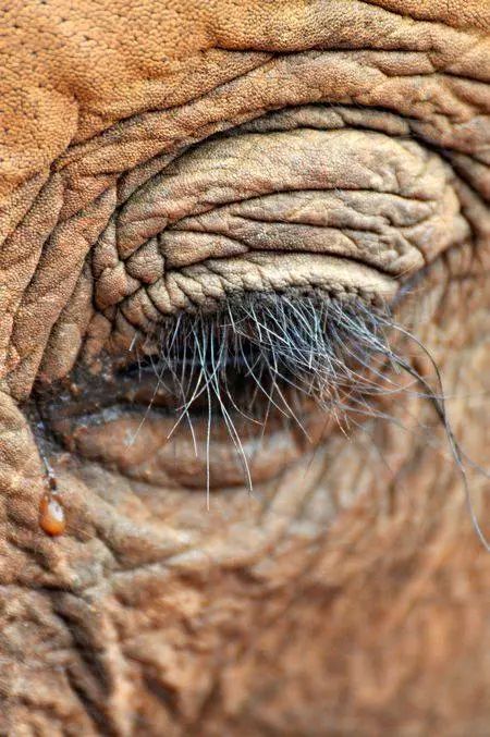 孙俪李佳琦罕见同框背后：这些刷爆朋友圈的照片