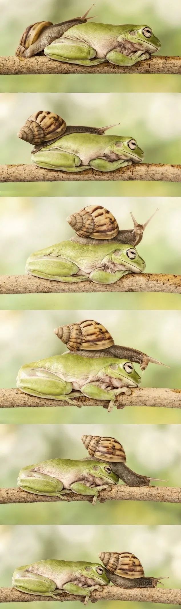 孙俪李佳琦罕见同框背后：这些刷爆朋友圈的照片