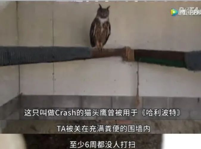 孙俪李佳琦罕见同框背后：这些刷爆朋友圈的照片