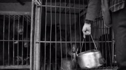 孙俪李佳琦罕见同框背后：这些刷爆朋友圈的照片