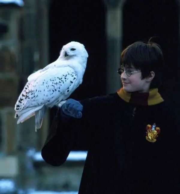 孙俪李佳琦罕见同框背后：这些刷爆朋友圈的照片