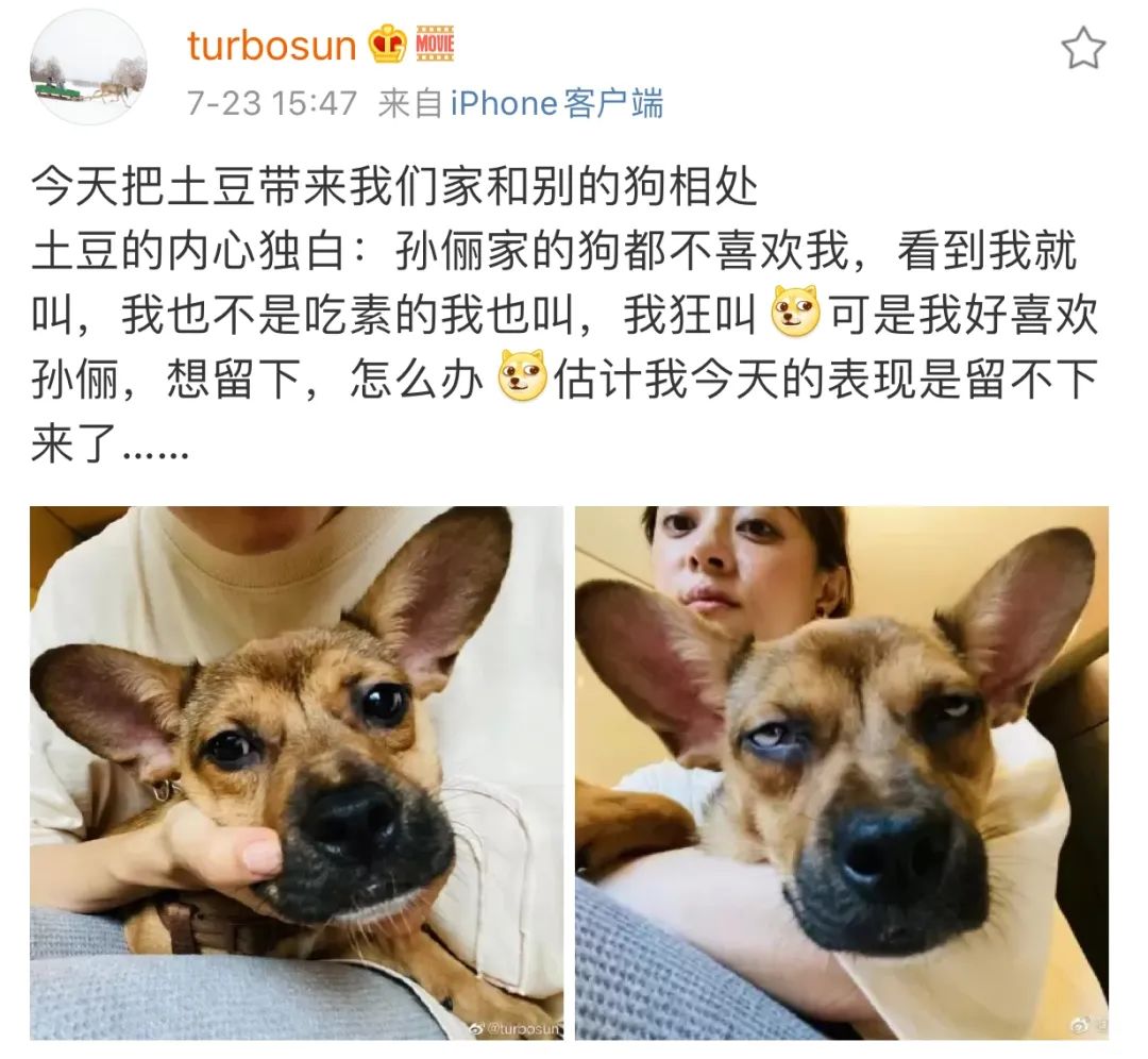 孙俪李佳琦罕见同框背后：这些刷爆朋友圈的照片