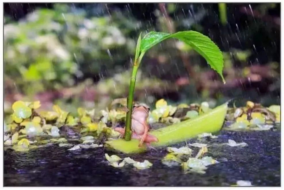 孙俪李佳琦罕见同框背后：这些刷爆朋友圈的照片