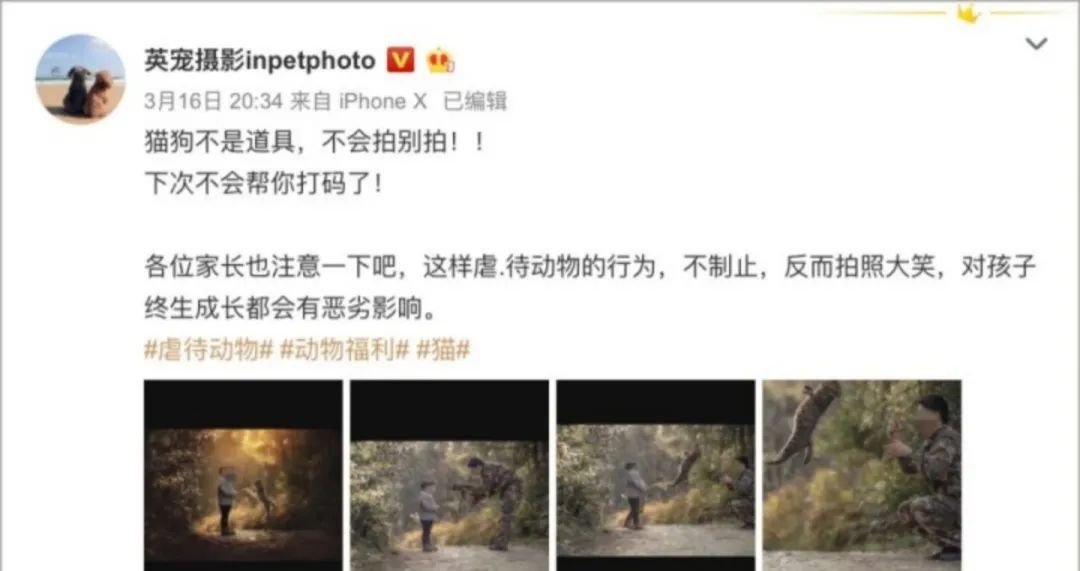 孙俪李佳琦罕见同框背后：这些刷爆朋友圈的照片